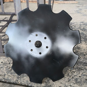 диск лазавской ромашка диск лазавской ромашка